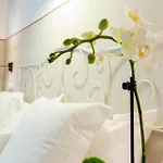 La Morada Mas Hermosa Hotel 2*