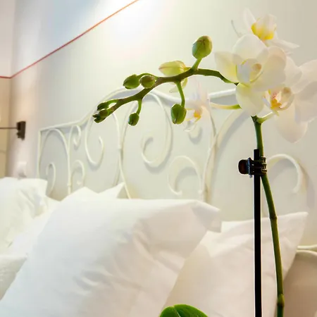 莫拉达艾默萨酒店 酒店 2*